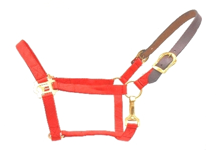 Breakaway Halter/ Size: Full